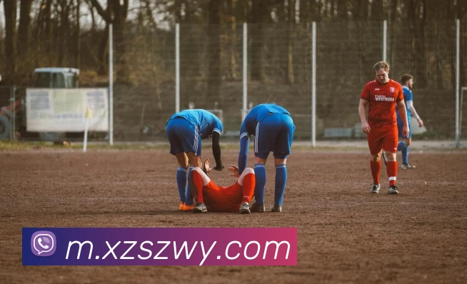 欧亿体育平台生态图