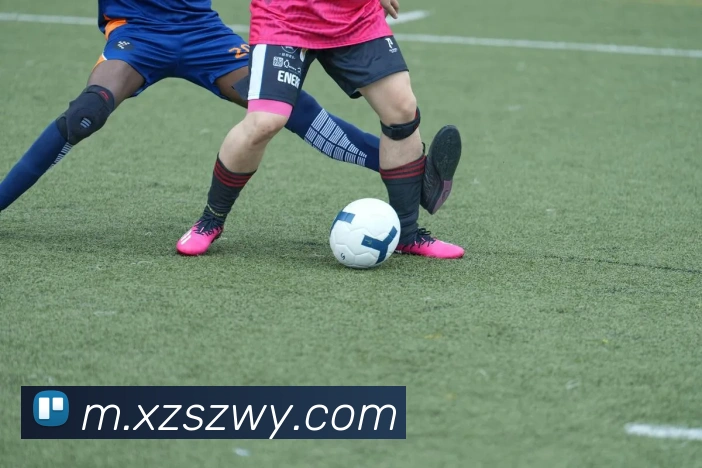 欧亿体育APP 封面图