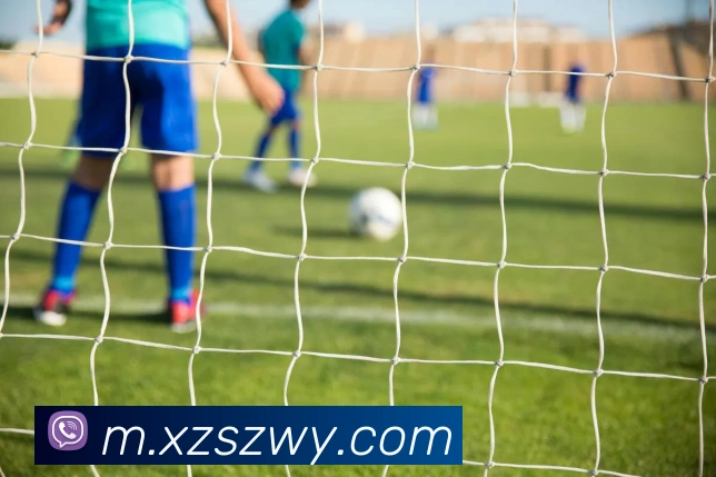 数据防护可视化